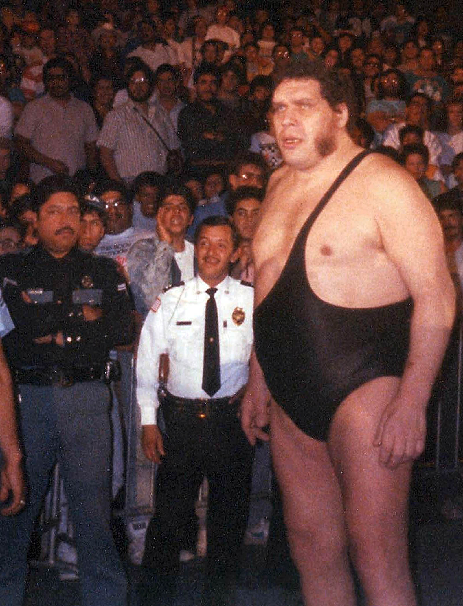 wwe andre the giant